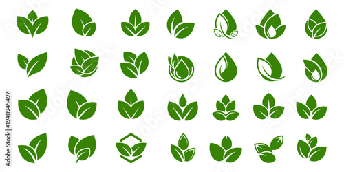 Nature leaf badge collection in clean flat style. Botanical logo vectors for health, herbal, and organic product labels.