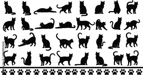 Collection of cat silhouettes in various poses featuring sitting, walking, stretching and playful kittens, domestic pet vector illustration isolated on white background