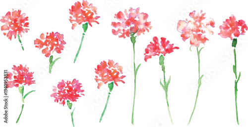 水彩画。水彩タッチのカーネーションベクターイラスト。母の日のカーネーション背景。
Watercolor painting. Watercolor carnation vector illustration. Carnation background for Mother's Day.