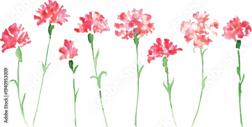 水彩画。水彩タッチのカーネーションベクターイラスト。母の日のカーネーション背景。
Watercolor painting. Watercolor carnation vector illustration. Carnation background for Mother's Day.