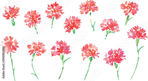 水彩画。水彩タッチのカーネーションベクターイラスト。母の日のカーネーション背景。
Watercolor painting. Watercolor carnation vector illustration. Carnation background for Mother's Day.
