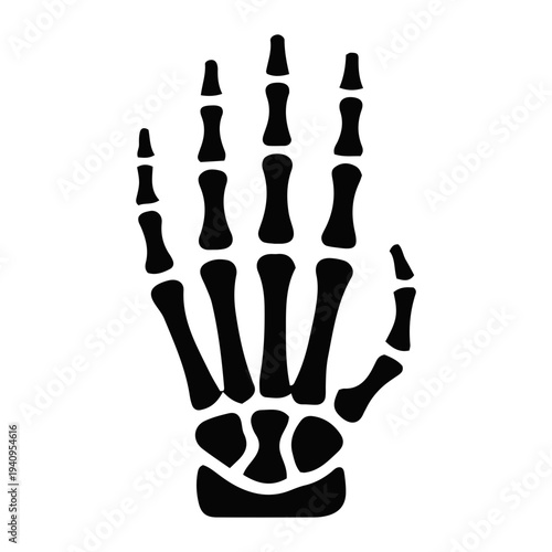 Anatomical mitocondrial study of human hand bones illustration from a frontal viewpoint