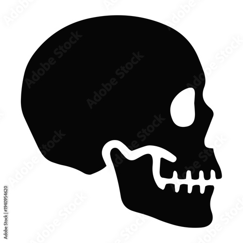 Detailed anatomical illustration of a human skull with mitocondrial structure focus, viewed from the side