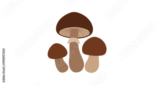 Three brown mushrooms of different heights and sizes with dark caps and tan stems are grouped together in the center of a white background.