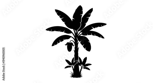 Black silhouette of a banana tree isolated on a white background