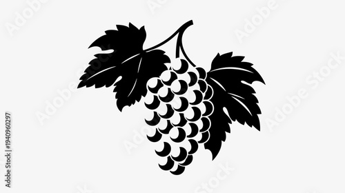 Black and white grape cluster and leaves isolated on white background