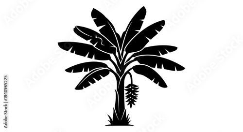 Black silhouette illustration of a banana tree with a bunch of bananas