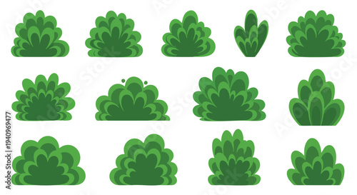 Green Bush Collection. Garden Plants. Decorative Foliage. Vector Elements. Graphic Resources.