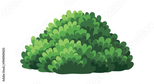 Green Bush. Lush Foliage. Garden Plant. Dense Leaves. Isolated.