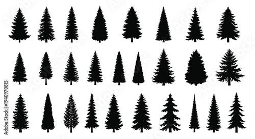 Collection of silhouetted evergreen trees in varying shapes and sizes