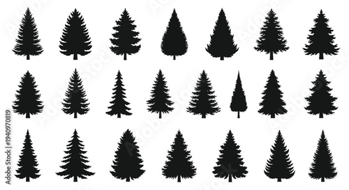 Collection of silhouetted evergreen trees on a white background