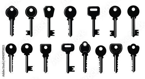 Collection of various black keys displayed in a grid arrangement