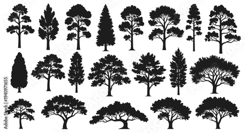 Collection of diverse silhouette trees against a white background