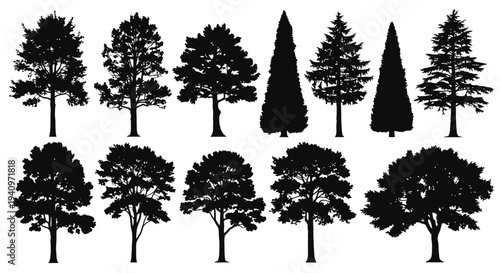 Collection of diverse black silhouette trees against a white background