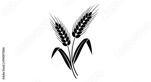 Black and white illustration of two wheat stalks with leaves