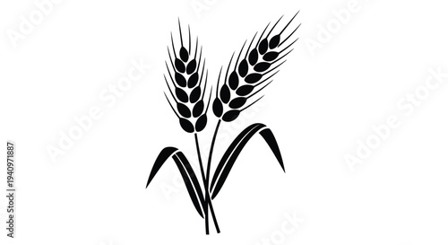 Black and white illustration depicting two stalks of wheat with leaves