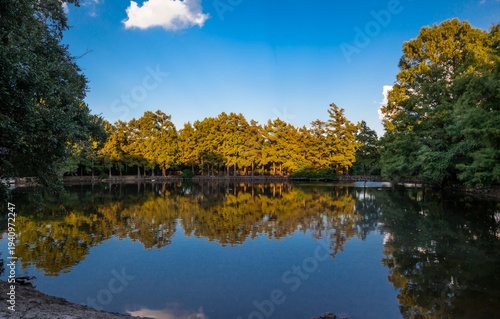 Park Reflections