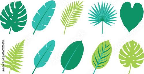 Tropical foliage elements with monstera banana leaf palm frond philodendron in emerald green turquoise lime for lush botanical branding design