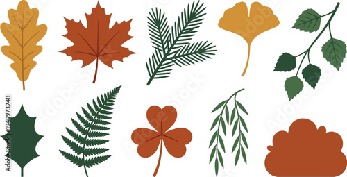 Woodland forest botanical elements with oak leaf maple leaf pine branch ginkgo in ochre deep forest green rust for natural outdoor branding design