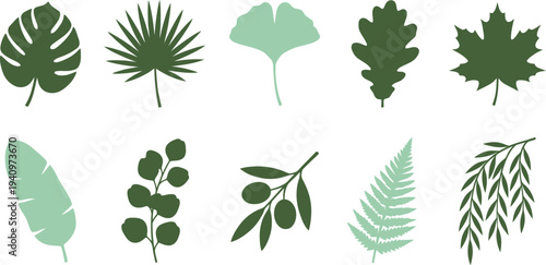 Abstract minimalist leaf silhouettes with monstera palm ginkgo oak maple in forest green deep olive soft mint for sophisticated botanical branding design