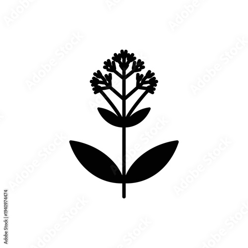 Minimalist black dill herb illustration isolated on white background vector design