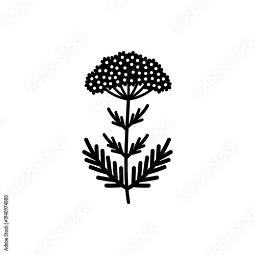 Black and white dill herb illustration isolated on white background vector