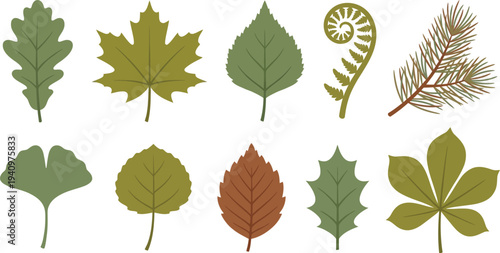 Temperate forest woodland leaf elements with oak maple birch fern pine in moss green olive rustic brown for natural outdoor branding design