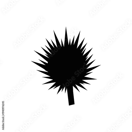 Black spiky seed pod isolated on white background minimalist design element
