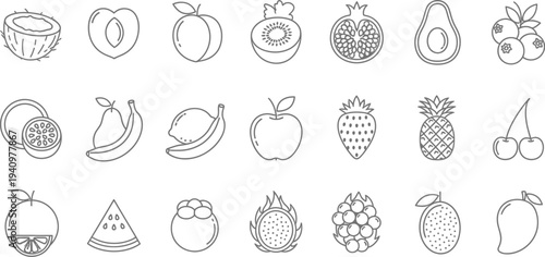 Outline drawings of various tropical and common fruits are displayed neatly arranged in horizontal rows against white.
