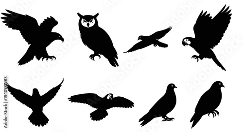 Diverse Collection Of Bird Silhouettes Including Eagle Owl And Parrot