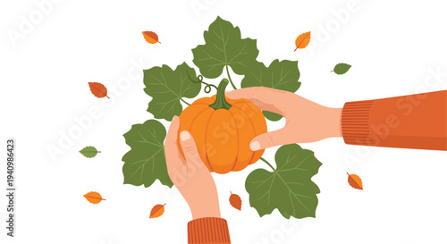 Two human hands, one wearing an orange sleeve, gently hold a small round orange pumpkin surrounded by green pumpkin leaves and scattered autumnal leaves against a white background.