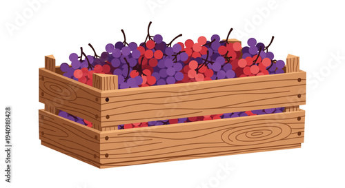 A rustic wooden crate is completely filled and overflowing with a vibrant mixture of red and purple grapes.