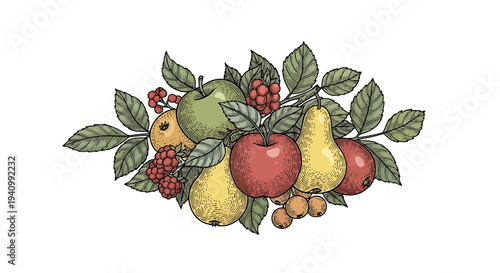 Autumn Harvest Fruit Arrangement: Apples, Pears, Berries, and Leaves Illustration