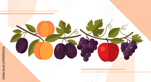 Assortment of Fresh Fruits on Branches: Plums, Apricots, Grapes, and Apple