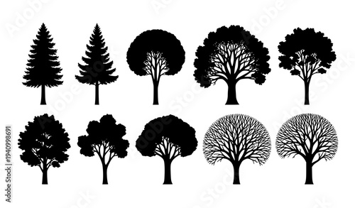 Set of seasonal tree silhouettes with forest trees and bare branches vector illustration isolated on white background