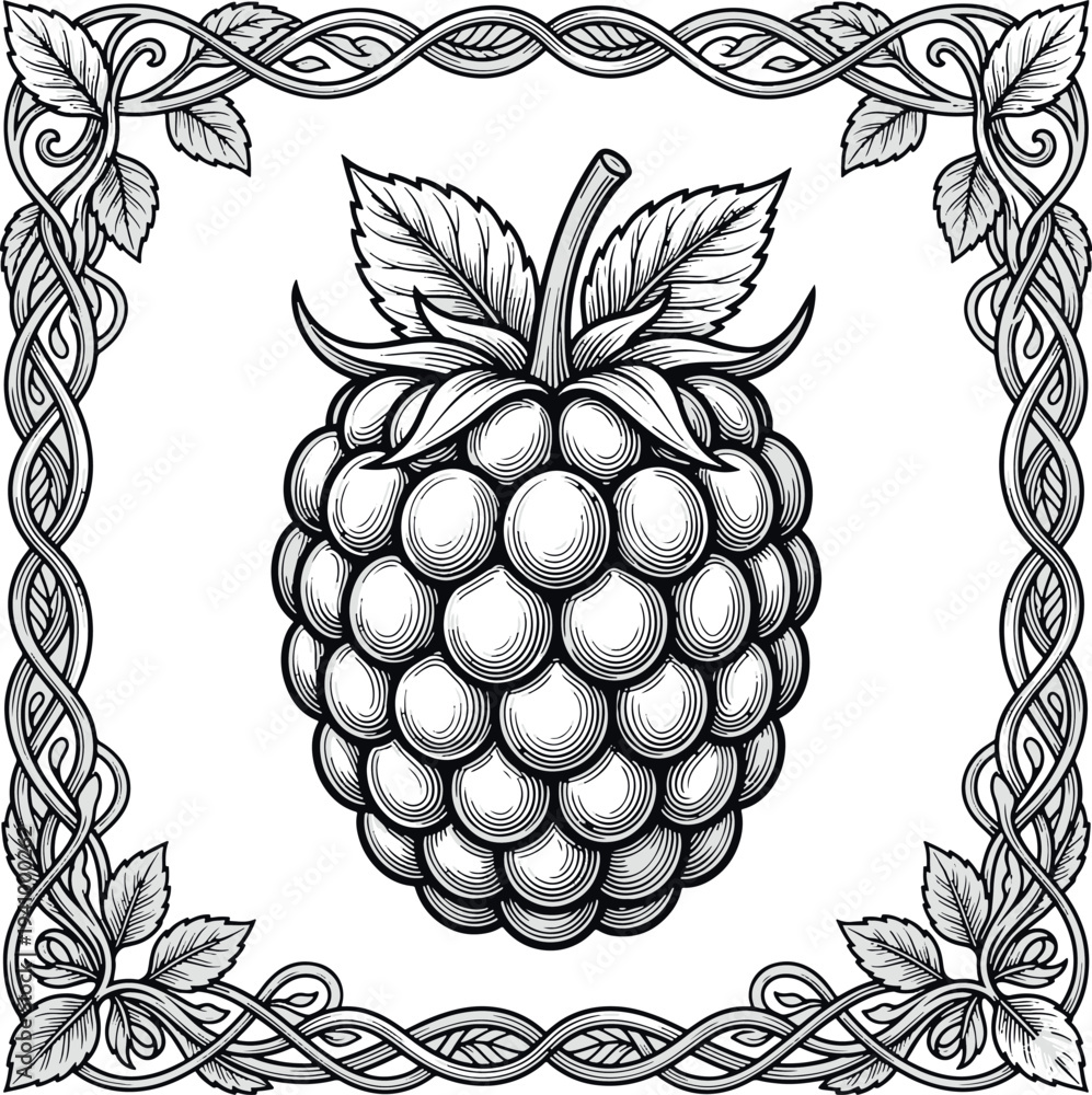 Obraz premium vector illustration of a floral background blackberry