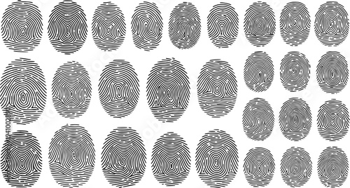 Black and White Line Art Fingerprint Patterns - Security, Identification, Biometrics, Abstract Concept Vector Asset