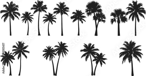 Set of tropical palm tree silhouettes collection isolated on white background, exotic summer nature elements for beach design, travel themes, decoration and landscape vector illustration