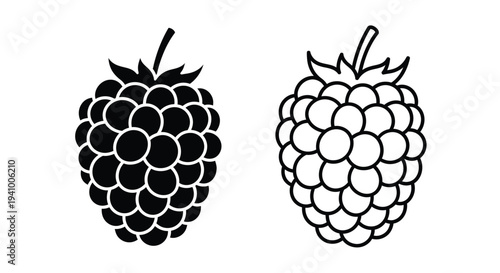 Two raspberries one dark and one light in a simple graphic style