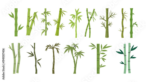 bamboo vector illustration