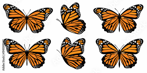 A collection of monarch butterflies in various flight and resting poses