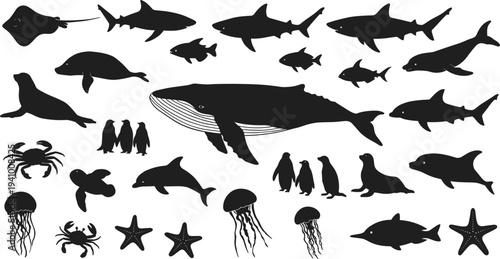 Adorable whale cartoon vector illustration, marine sea animal drawing, playful ocean creature design, aquatic wildlife character, underwater kids art, nature icons, cute animal graphics