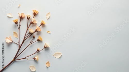 Pastel Blossoms on a Neutral Background Delicate Springtime Floral Arrangement with Ample Copy Space