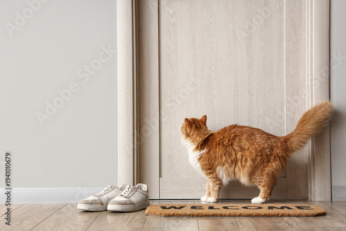 Tableau sur toile Cute cat with sneakers and doormat in hallway