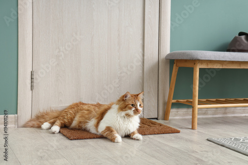 Cute cat lying on doormat i...