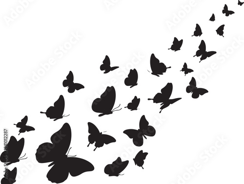 A flock of butterflies flying in formation together freely