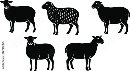 Set of five black sheep silhouettes including woolly ram and ewe icons isolated on white background for livestock farming and animal logo design