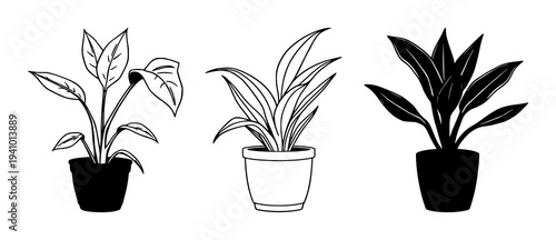 Snake plant set with flat vector illustration in terracotta pot featuring indoor plant, minimalist design, green foliage with terracotta pot and houseplant