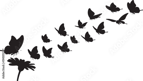 Butterfly Silhouettes Flying Away from a Flower in Formation