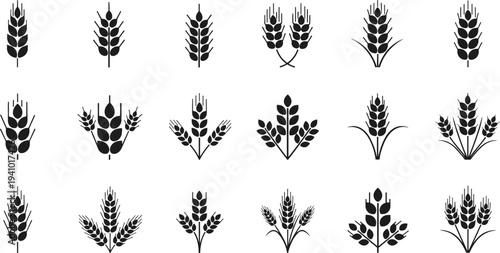 Wheat and Grain Agriculture Icon Set with Wheat Ears, Barley Spikes, Crop Symbols for Farming, Harvest, Organic Food and Agricultural Design